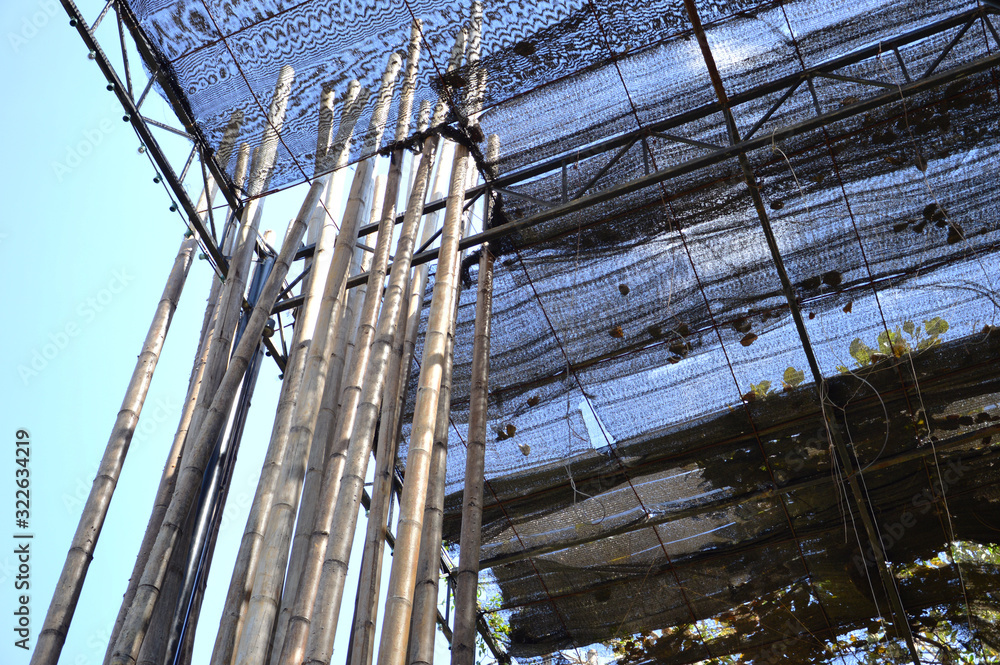 Bamboo pole Bamboo pole