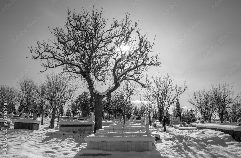 winter season and cemetery