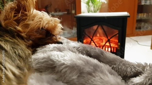 Dog sleeping on top of blanket and breathing fast with heater in background
