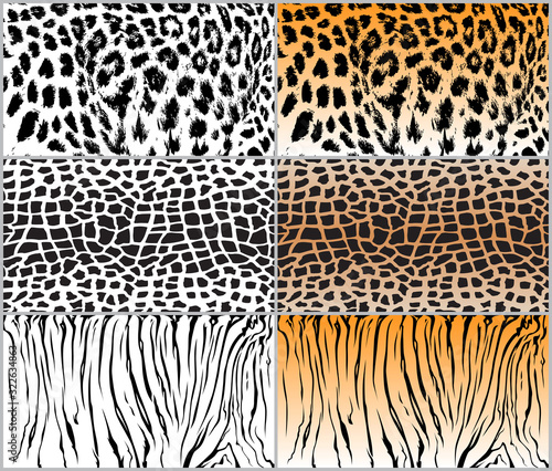 set animal pattern texture giraffe cow leopard tiger stripe orange white black jungle safari print