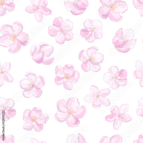 Fototapeta Naklejka Na Ścianę i Meble -  Vector seamless pattern with apple blossom flowers