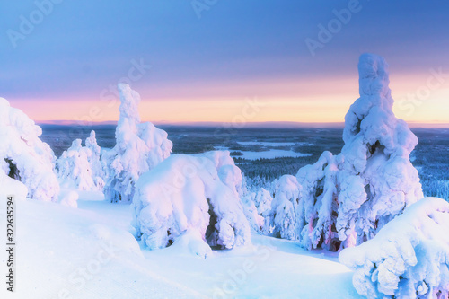 Winter landscape with snow covered trees in winter forest. photo