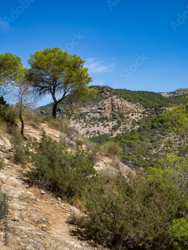 Valley in Gaitanejo Park next to the royal El Chorro trail. Spain