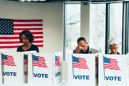 Minority voting during US elections