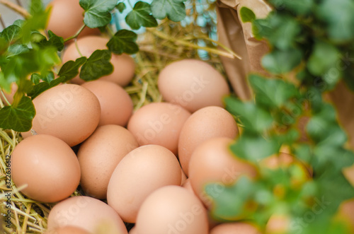 Fresh eggs on food market close-up
