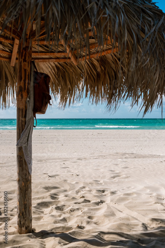 Fototapeta Naklejka Na Ścianę i Meble -  Thatched umbrellas on the beautiful beach of Varadero in Cuba