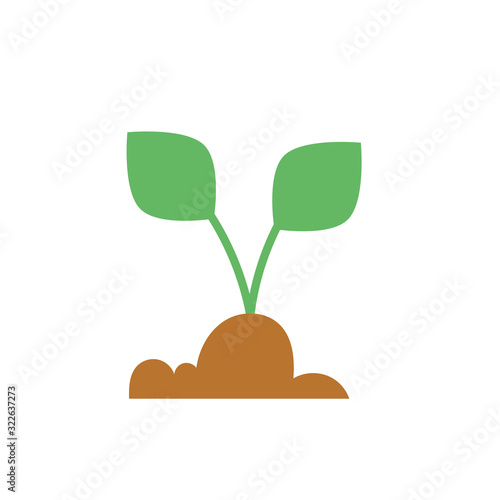 house plant cultivating flat style