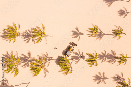 Aerial view of palm trees on the beach, Paracuru, Cear·, Brazil photo