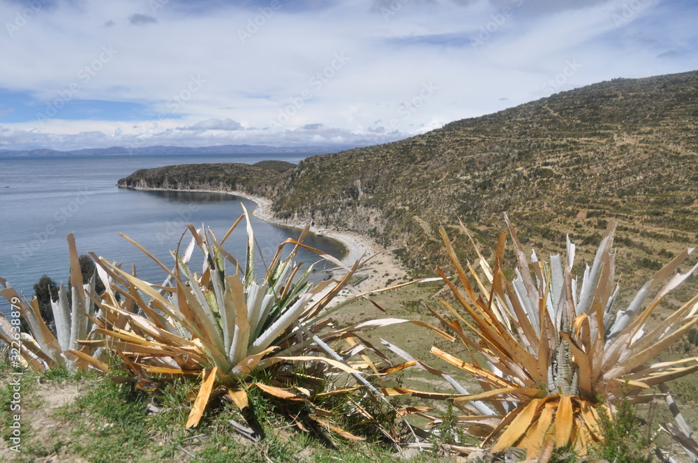 Nice natural landscape with lake Titicaca in the background and bluish sky in Isla del Sol (Bolivia)