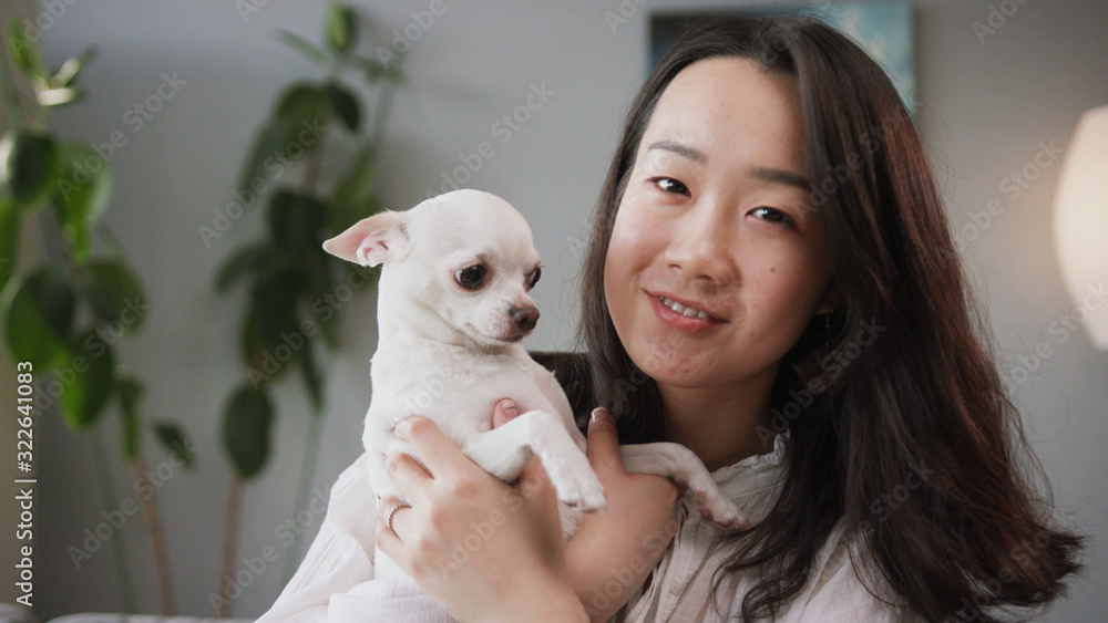 Beautiful young Chinese woman kissing lovely dog. Ancient breed. Dogtime. White Chihuahua and female owner spending time together. Indoors. Beautiful young Chinese woman kissing lovely dog. Ancient breed. Dogtime. White Chihuahua and female owner spending time together. Indoors.