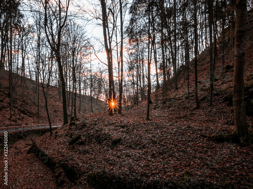 Wanderung durch den Uttewalder Grund Sächsische Schweiz  photo