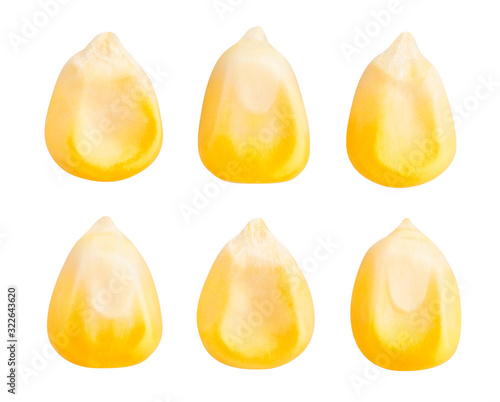 Photos corn kernels