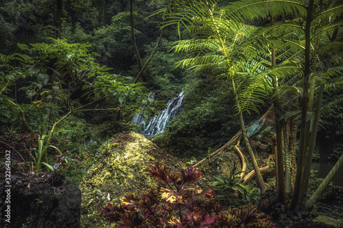 Beautiful lush green tropical forest jungle scenery with Banyumala waterfall on Bali in Indonesia