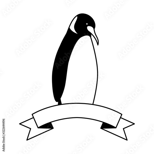 emperor penguin with ribbon on white background