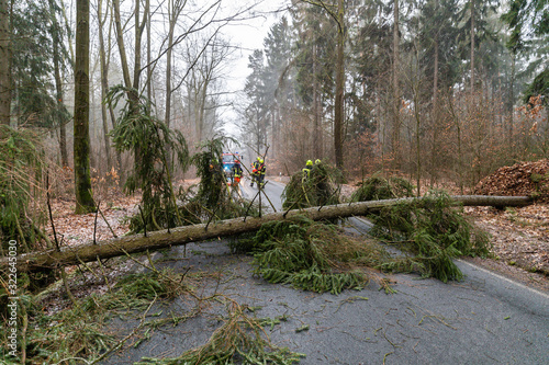 Sturmschaden umgestürzter Baum