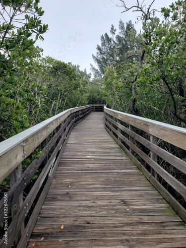 Fototapeta Naklejka Na Ścianę i Meble -  wooden bridge in forest