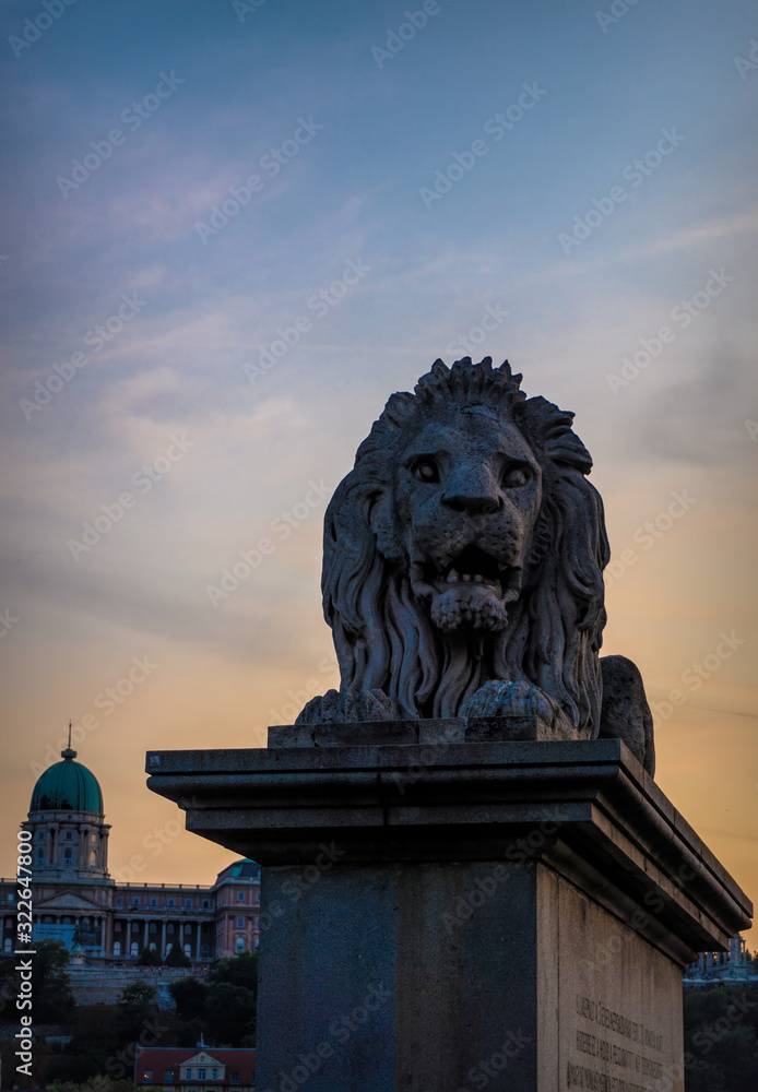 Budapest, Hungary - August 29, 2019: Stone sculpture of a majestic lion at the entrance to the Secheni Chain Bridge in Budapest. Famous tourist attraction of the capital of Hungary. Secheni Bridge and