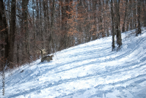 Impressionistic Style Artwork of a Snow Covered Winter Trail