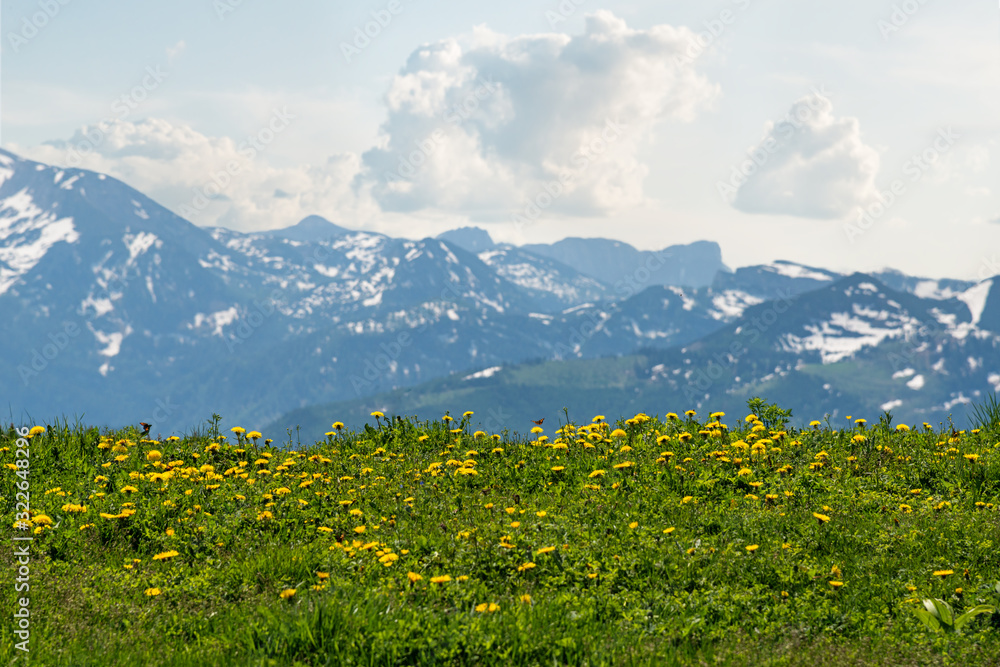 Fototapeta premium Alpian landscape in summer