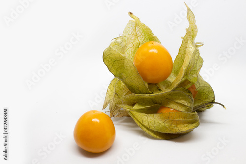 Physalis on a white background