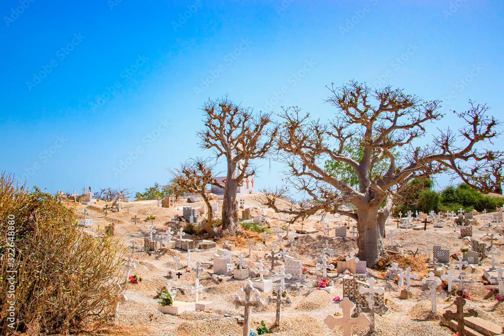 Fototapeta premium Joal-Fadiout, Senegal - April, 26, 2019: Baobab trees on the Christian cemetery. Joal-Fadiouth town and commune in the Thiès Region at the end of the Petite Côte of Senegal. Africa.