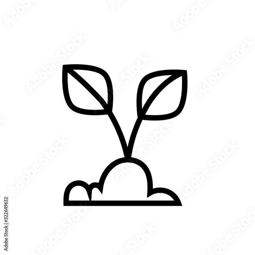 house plant cultivating line style
