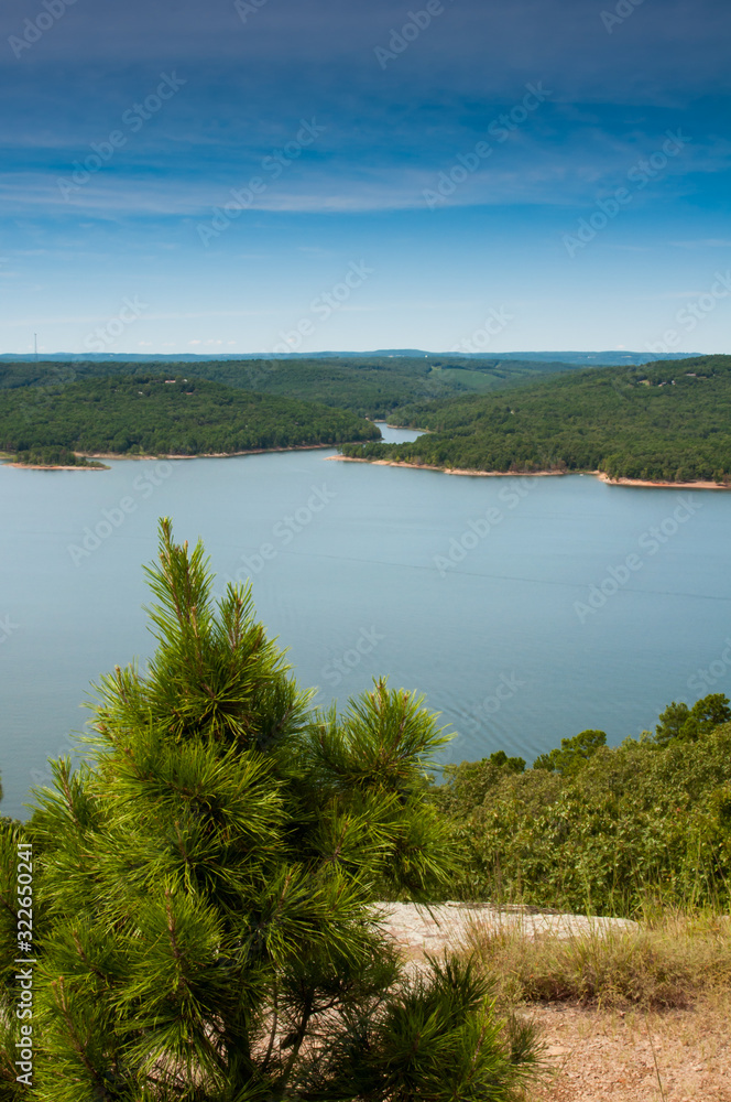 A small pine tree dominates the foreground as you look out over Greer's Ferry lake from atop Sugarloaf Mountain. A small pine tree dominates the foreground as you look out over Greer's Ferry lake from atop Sugarloaf Mountain.
