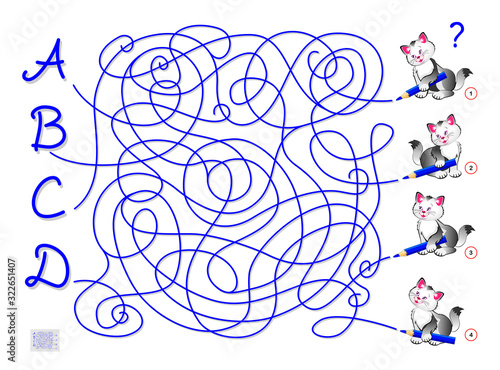 Logic puzzle game with labyrinth for children and adults. What letter has wrote each cat? Find the way. Printable worksheet for kids brain teaser book. IQ training test. Flat vector cartoon image.