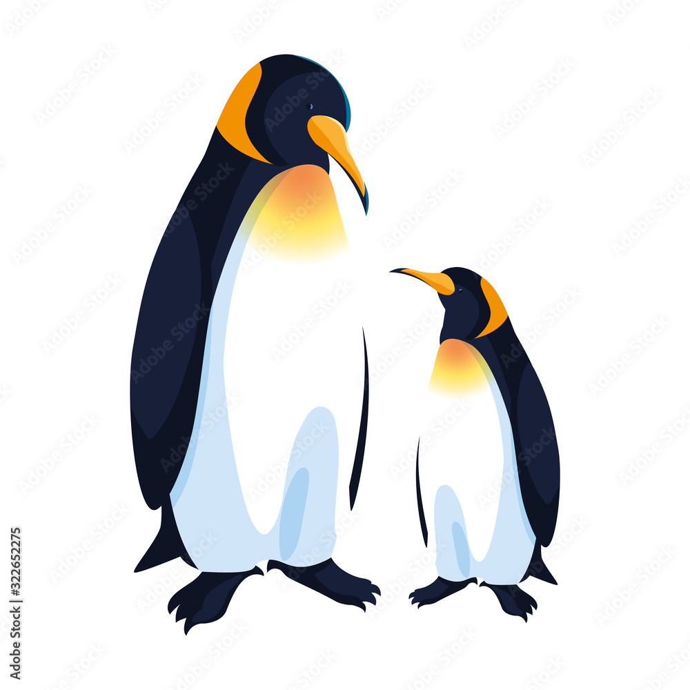 Samolepka emperor penguins couple on white background
