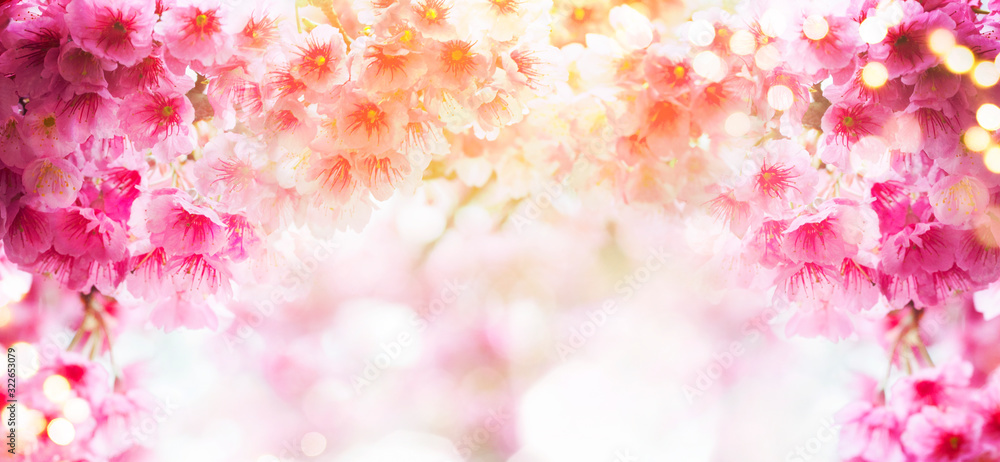 Spring background with cherry blossom Spring background with cherry blossom