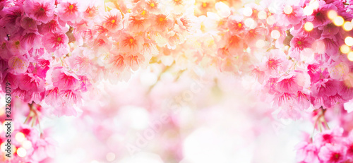 Spring background with cherry blossom © Morgan Studio