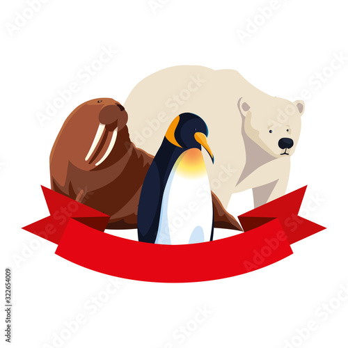 arctic animals in a white background