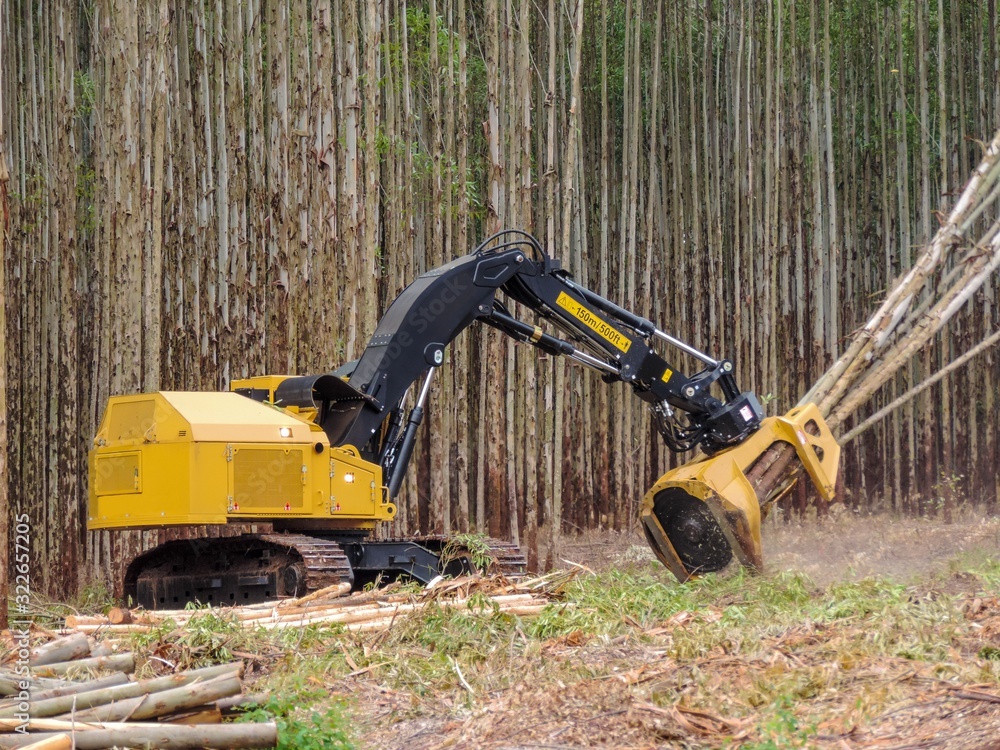 Logging Equipment - Timber Harvesting Logging Equipment - Timber Harvesting