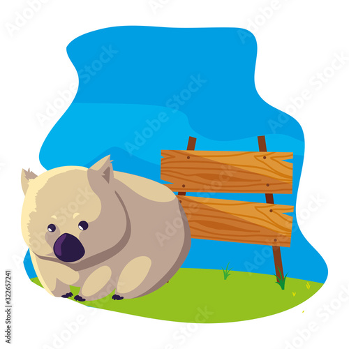 cute australian wombat with background landscape