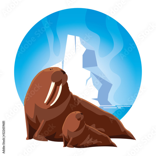 walrus at the north pole with cub, arctic landscape