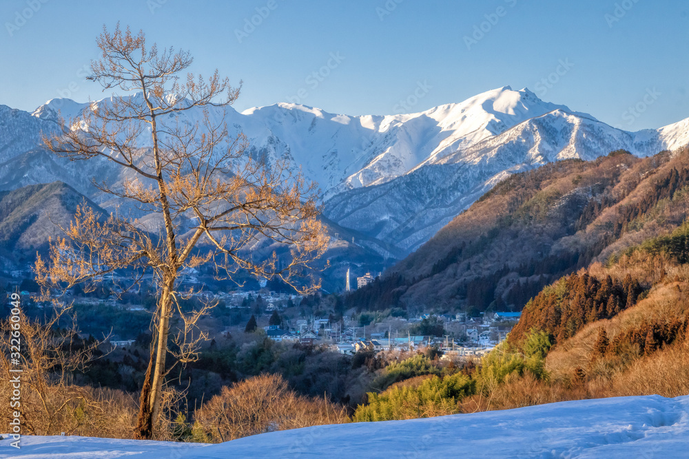 Village nestled under a large mountain in winter