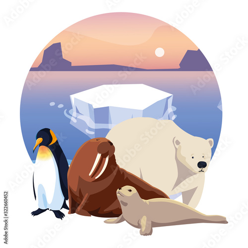 arctic animals in landscape with blue sky and iceberg