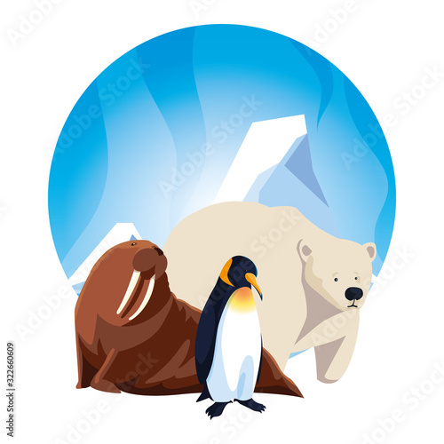 arctic animals in landscape with blue sky and iceberg