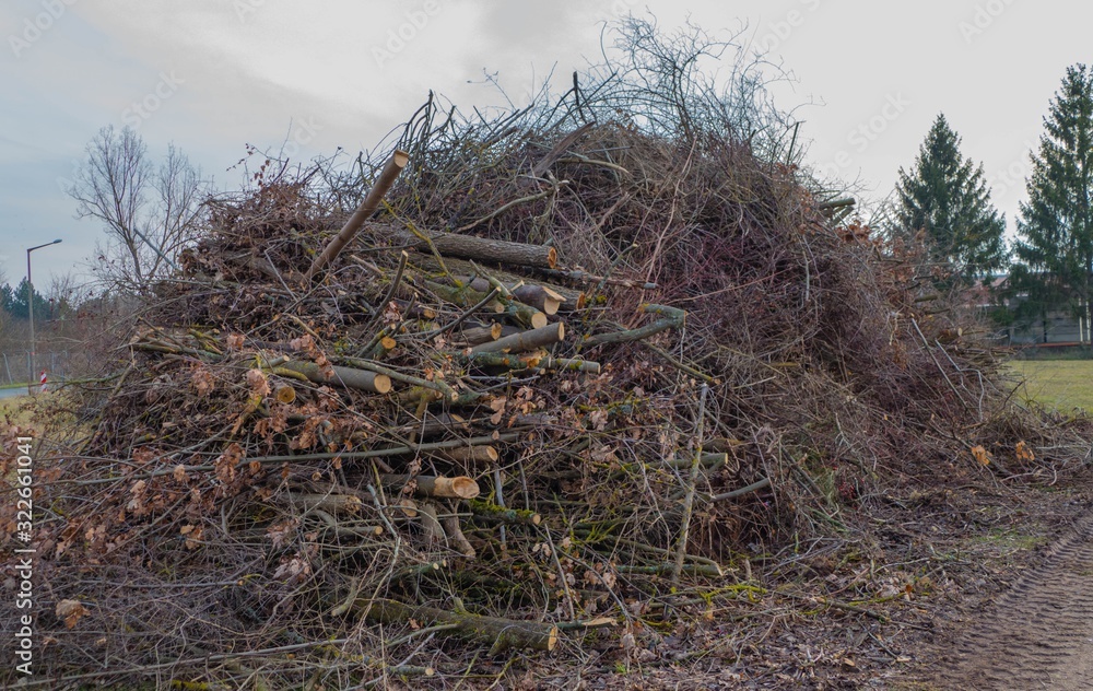 Landschaftsarbeiten Baumarbeiten
