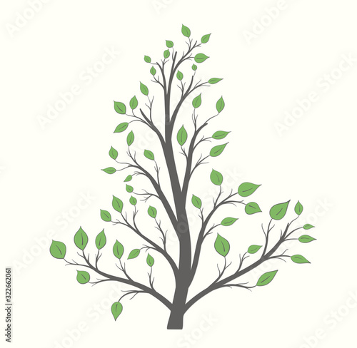 Tree with branches and green leaves of different sizes on a light background