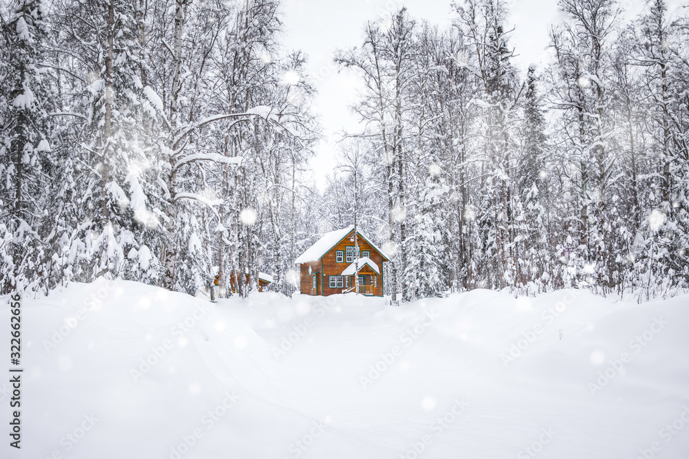 Snowy House