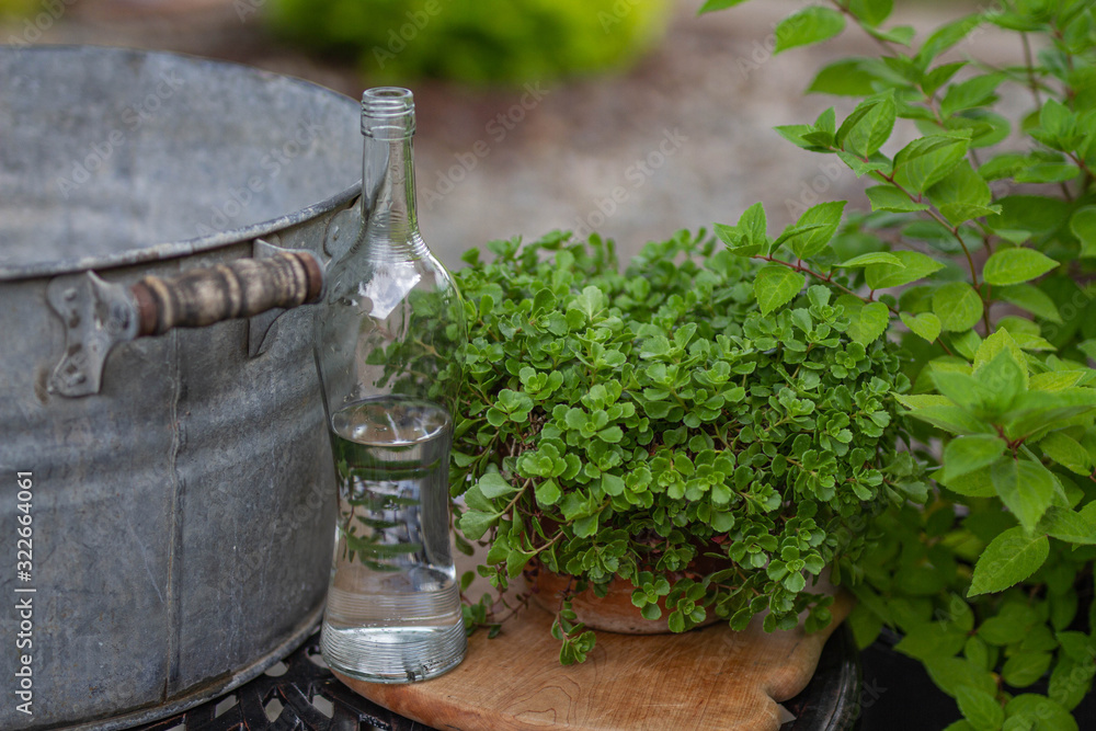Obraz premium Glass Bottle Garden