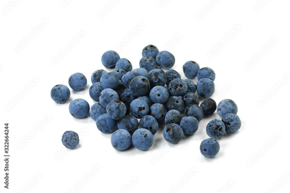 Prunus spinosa (blackthorn; sloe) scattered berries isolated on white background; Prunus spinosa (blackthorn; sloe) scattered berries isolated on white background;