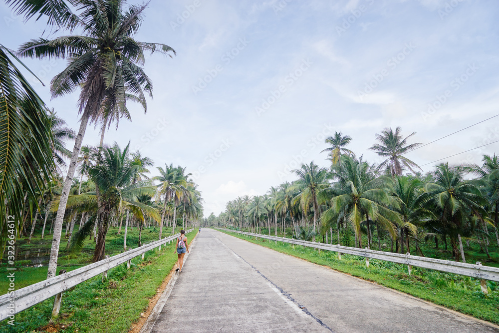 Empty road with coconut palm trees.