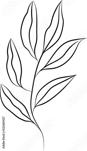 Colorless silhouette season leaves, branch, monochrome sketches outline, isolated illustration. Vector. Colorless dry flora © Tiana_Geo