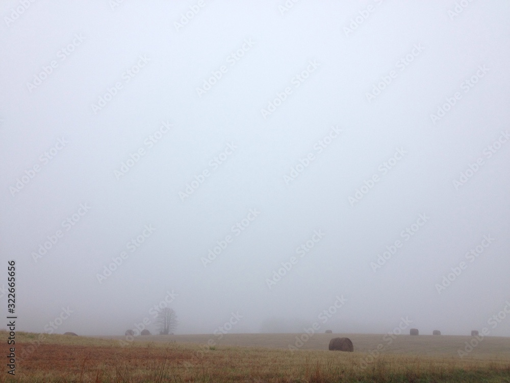Naklejka premium Field in fog