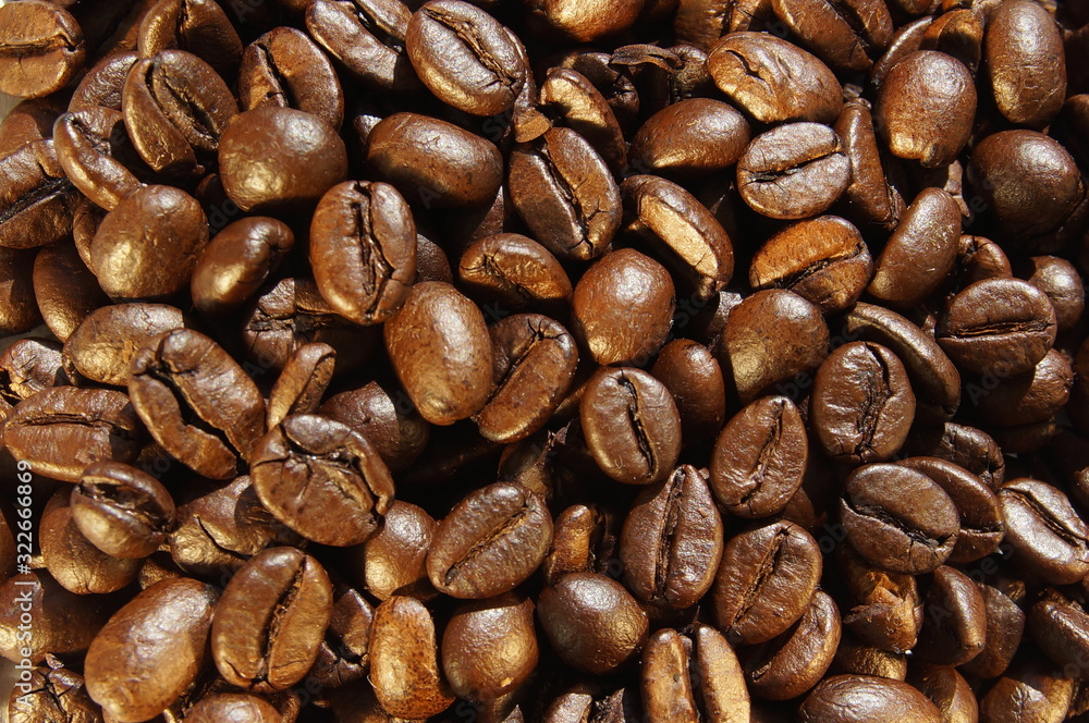 Fototapeta premium coffee beans close-up in warm light