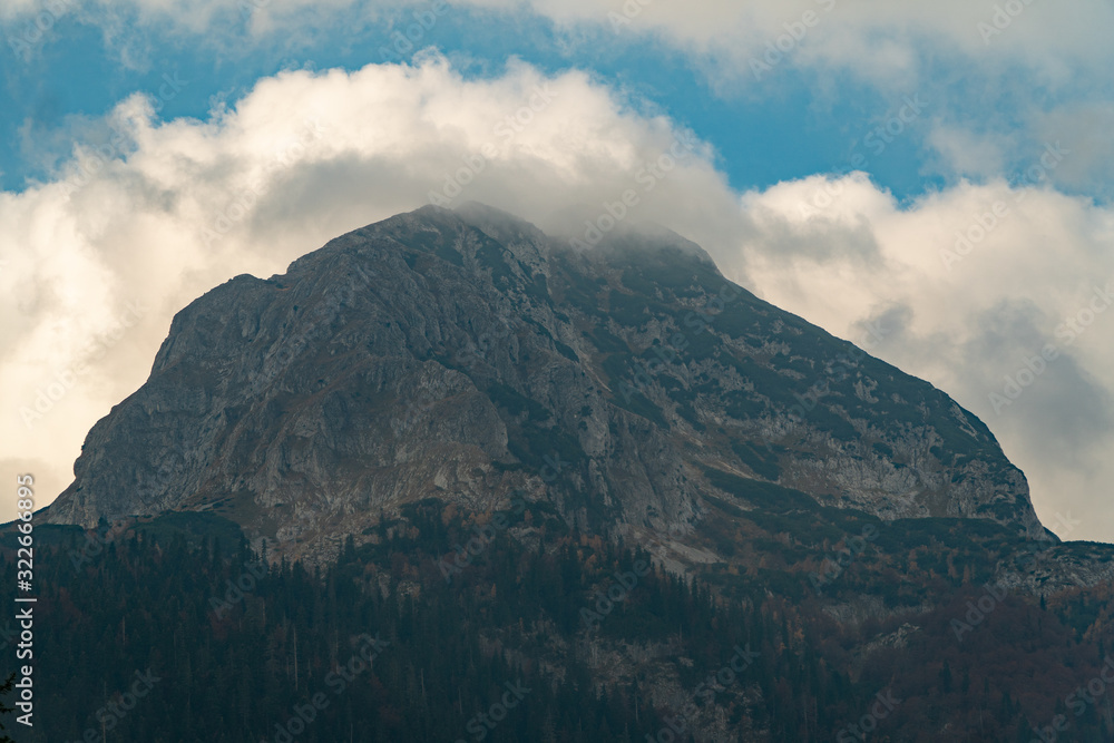 Mountain peak shrouded in white clouds with dense coniferous forest at the foot