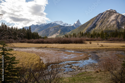 forest valley marsh nestled inbetween the Rocky Mountains