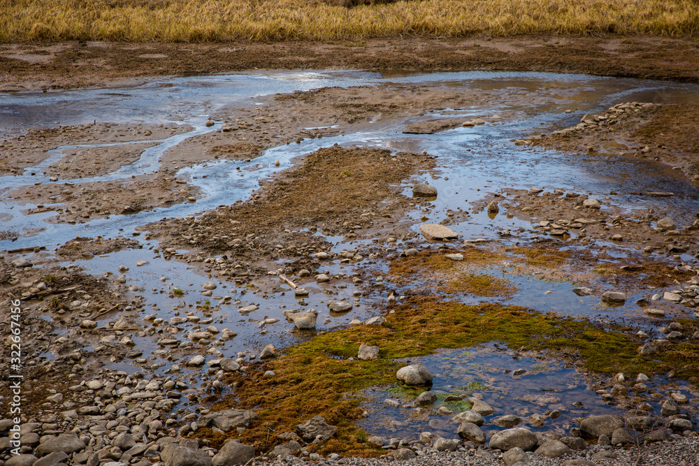 Mossy rockbed of a marsh